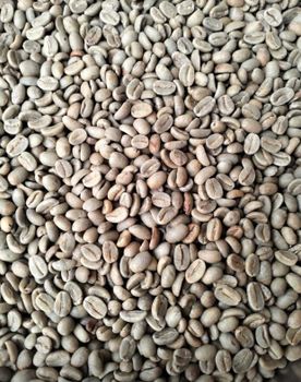 Coffee Beans Grade Grade 1 Screen Size 18 Moisture Content <12% Screen Size Range - CV. Berkat Sejahtera - Indonesia