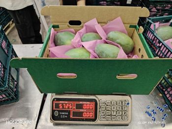 Mango kit - Mediterranean for export - Egypt