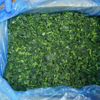 Frozen Spinach HALA Shandong 1Y 12M Shelf MOQ100 89% Nutretention - Pintong International Trade (Qingdao) Co, Ltd. - China