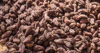 Premium Bhutan Black Cardamom – Bulk Export Supply | FOB & CIF - KMG TRADING - Bhutan