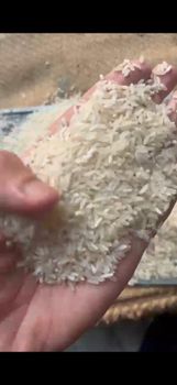 Rice IR64 - I'M global sourcing - Pakistan