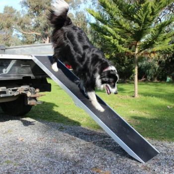 Lightweight Aluminium/Steel Folding Mobility Scooter Ramp for Van Car Customizable Wheelchair Ramps Motorcycle Ramps & Stands - QINGDAO ANTAI HENGXIN MACHINERY TECHNOLOGY CO., LTD. - China