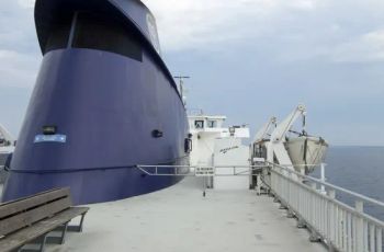 Deck Barge: Precision Steering Gear with Zc - NINGBO ZHONGSHENG RUIDA INTERNATIONAL TRADE LIMITED COMPANY - China