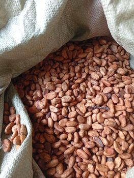 Cocoa Beans Defect Rate 3.0%% Mold Content 3.0%% Impurity Level 1.0%% Moisture Content 7.5%% Weight Per Unit 100-105/100gm - Buyosi Enterprises - Kenya