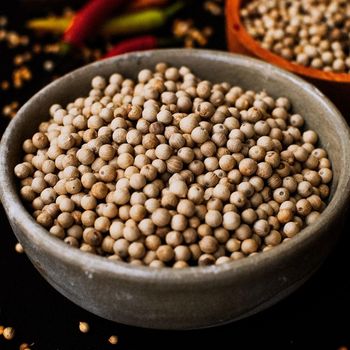Premium 99% Pure White Pepper Whole Spice For Food Manufacturing Ingredient Supply And Bulk Export White Pepper With Bold Aroma - malter group - Tanzania
