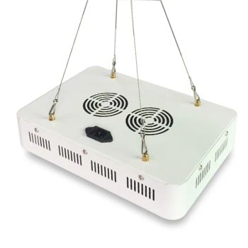 800W Grow Lights for Indoor Hydroponic Plants Greenhouse Growing Lamps - Hubei LiBaiChang Technology Co., Ltd. - China