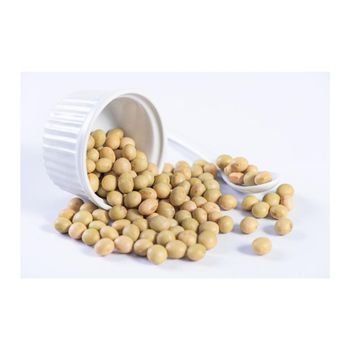 Premium GMO Soybeans frozenchickenexports.com - AGROSTREAM EXPORTS AND IMPORTS PTY LTD - South Africa