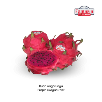 Purple Dragon Fruit Texture Firm Flavor Sweet Color Deep Magenta Or Purple Intended Use Fresh Consumption, Smoothies, And - PT. Daya Semesta Agri Resources - Indonesia