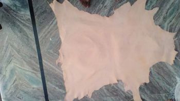 Goat Finished Leather Leather Type Goat Finished - Rajeev Leather Enterprises - India