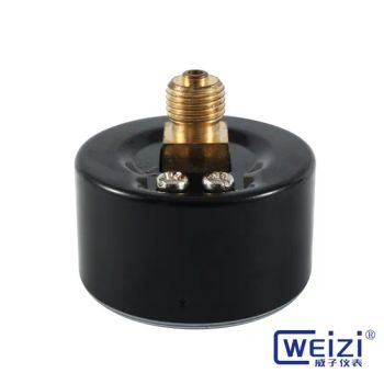Professional Espresso Pressure Gauge, Stainless Steel, Suitable for Various Coffee Machines - Jiangxi Weizi Instrument Co., Ltd - China