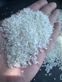 IRRI 6 White Rice 100% Broken - Bait Alazka Foodstuff Trading LLC - United Arab Emirates