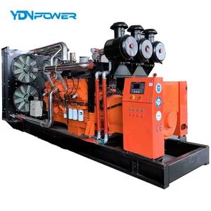50/60Hz 8-2000kw Water-Cooled Gasoline Generator Electric Silent LPG CNG Dual Fuel Generator - Weifang Yidaneng Power Co., Ltd. - China