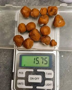 Wholesale Natural and Pure Top Quality Ox Gallstones Cattle Gallstones Cow Gallstones Buy Cow Gall Stones for Sale Please whatsap +255787979235 - AL JABLI TRADING COMPANY LIMITED - Tanzania