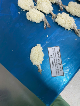 Frozen Raw Coconut Breaded Butterfly Shrimp 16/20 50% Shrimp - BLUE BAY SEAFOOD CO.,LTD - Vietnam