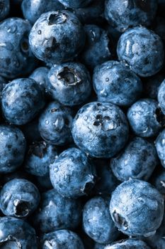 Canadian Frozen Blueberries - Product of Canada from Nova Blue Export Canadian Frozen Blueberries - Product of Canada - Nova Blue Export - Canada