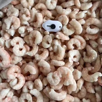 Deepwater Norwegian Prawns IQF Frozen Wild Caught Premium Seafood Long Shelf Life Export Ready - PILOTEXPORT IMPORT AND EXPORT LTD - South Africa