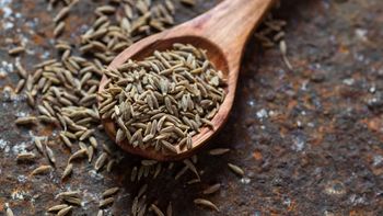 cumin seeds - Safe Row Exim - India