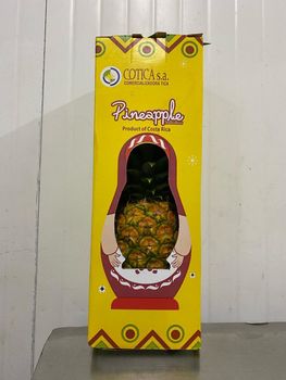 Fresh pineapples by vessel or by air - Comercializadora Tica Cotica S.A - Costa Rica