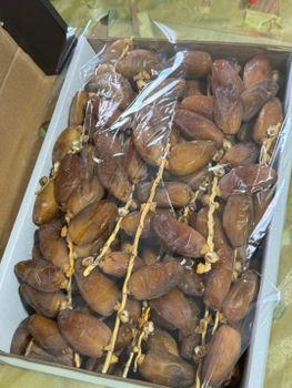 Dates Prumim Deglet Nour - NTIRI_DATTES Export Solutions  - Tunisia