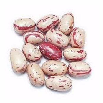 Cranberry Beans Style Dried Weight (kg) 25 Brand Name PAPO Drying Process AD Shelf Life 2 Years Type CRANBERRY BEAN Model Number - FRINGE PAPO INTERNATIONAL - India