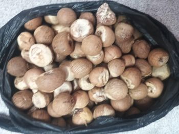 Betel nut from zeeshan Betel nut - zeeshan - India