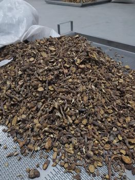 Licorice Roots Irregular cut and 5cm sticks - Nika - Georgia