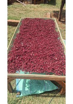 Organic Premium Hibiscus Origin Africa - Nairobi - Kenya