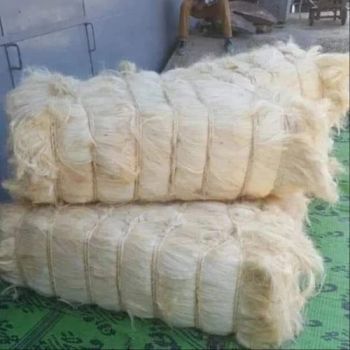 Natural Sisal Fibers, Premium Quality, Bulk Cheap Wholesale - A.C.P. AGRICULTURE COMPANY LIMITED - Thailand