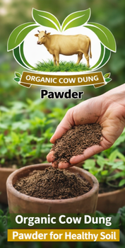 Organic cow dung powder - Primium organic cow dung powder - India