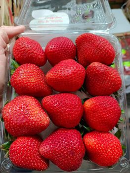 Premium South African Strawberries Organic Yes Freshness High Quality Premium Export Grade Yes Origin South Africa Shelf Life Consistent - NINE FRUITS EXPORTS (PTY) LTD - South Africa