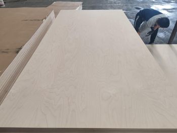 plywood Product Type Engineered Wood Grain Orientation Rotated Up To 90 Degrees Material Composition Thin Layers Of Wood - feixian xinsanyuanwood co.,ltd - China