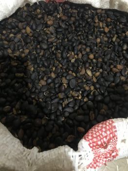 Palm karnel nut , palm karnel shell, and palm oil - B&B - Global