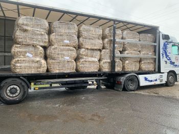 Wool Material Raw Wool Yarn Count - B&SS KOMPANI - Macedonia