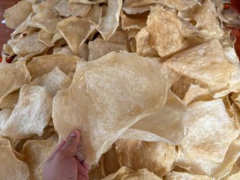 Premium Dried Fish Maw – 100% Natural, Naturally Dried, Signature Betel Leaf Shape, Ready to export for Chinese cuisine from Glomex Import and Export Limited Company Premium Dried Fish Maw – 100% Natural, Naturally Dried, Signature Betel Leaf Shape, Ready to export for Chinese cuisine – product photo, Top Quality Products