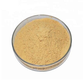 Ginseng extract - SOURCE GLOBAL TRADING GROUP - South Africa