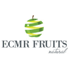 Product - ECMR FRUITS - Turkey