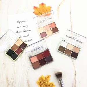 Hot Selling Cosmetic 6 Colors Makeup Palette OEM Eye Shadow Palette - Jinhua Sanctity Cosmetics Co., Ltd. - China