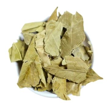 Natural Herbs and Spices Medicinal Herbs Dried Orange Tangerine Leaf Tea - Xinshao Nanmo Biotechnology Co., Ltd. - China
