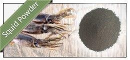 Product from AKASH FISHMEAL & FISHOIL PRIVATE LIMITED Product – product photo, Frozen Mixed Fish products found from trusted suppliers, wholesalers, manufacturers & exporters Listing