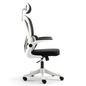 Furniture Mesh Office Chair Executive Ergonomic Mesh Office Chair - Anji Rentai Home Supplies Co., Ltd. - China