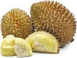 Fresh Durian Monthong Fruit - MEME GROUP COMPANY LTD - Cameroon