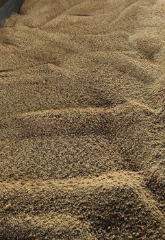 Jaggery powder from Regro foods Jaggery powder - Regro foods - India