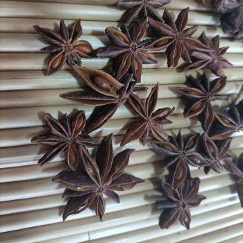 Hot Chilli Food Dried Illicium Star Anise Seed Staranise Spices - Qingdao Tai Foong Foods Co., Ltd. - China