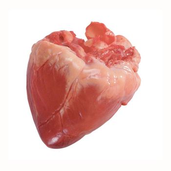 Manufacturer Preferential Nutritional Freeze Dried Pork Heart Slice Pet Dry Snacks for Cats Dogs Manufacturer Preferential Nutritional Freeze Dried Pork Heart Slice Pet Dry Snacks for Cats Dogs Manufacturer Preferential Nutritional Freeze Dried Pork Heart Slice Pet Dry Snacks for Cats Dogs Manufacturer Preferential Nutritional Freeze Dried Pork Heart Slice Pet Dry Snacks for Cats Dogs - GLOBOTO TRADE BRASIL LTDA - Brazil