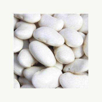 premium whole white beans for cooking soups stews chili salads and healthy recipes natural dried white beans rich in plant protein fiber iron and essential nutrients perfect for vegan vegetarian diets home kitchens restaurants and balanced everyday meals - SATTER FOOD AND BEVERAGE - Netherlands