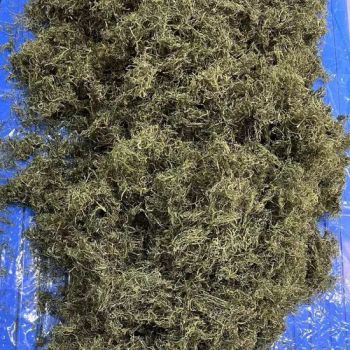 Crispy Dried Wakame Strips - Fuzhou Beautiful Agricultural Development Co., Ltd. - China