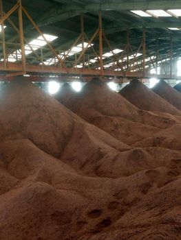 Palm Kernel Expeller (PKE) - Crude Protein 16% Min, Crude Fat 10% Min, GACC Registered from Amry Palm Kernel Expeller (PKE) - Crude Protein 16% Min, Crude Fat 10% Min, GACC Registered - Amry - Indonesia