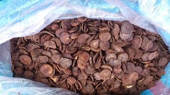 Cocoa Beans from SILVERSTONE IMPORT AND EXPORT LIMITED Cocoa Beans - SILVERSTONE IMPORT AND EXPORT LIMITED - Tanzania