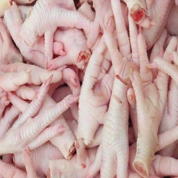 Premium Quality a Grade Organic IQF Frozen Chicken Paws with Vitamins and Low-Fat for Export and Bulk Deals - CPW TRADE LTD - United Kingdom