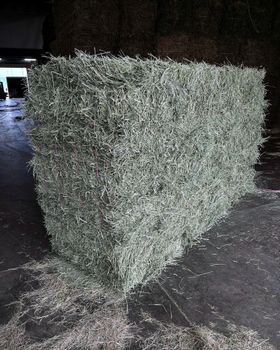 Timothy hay - South east family farm - United States